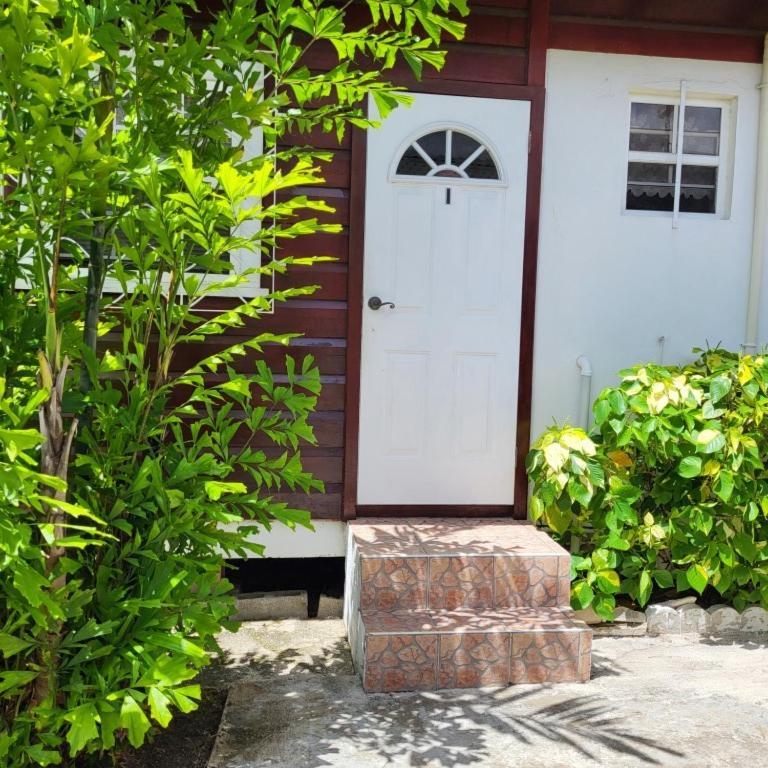 Dolphin Inn Guesthouse & Apartments Christ Church Exterior photo