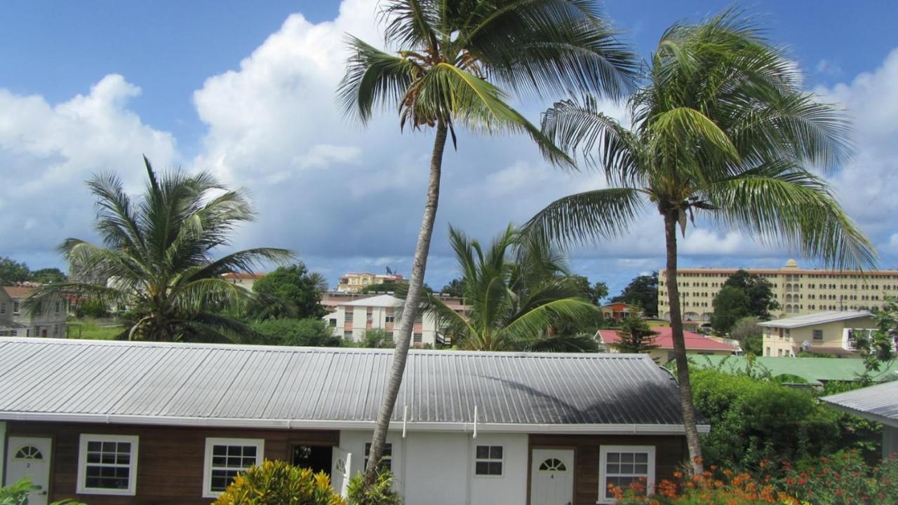Dolphin Inn Guesthouse & Apartments Christ Church Exterior photo